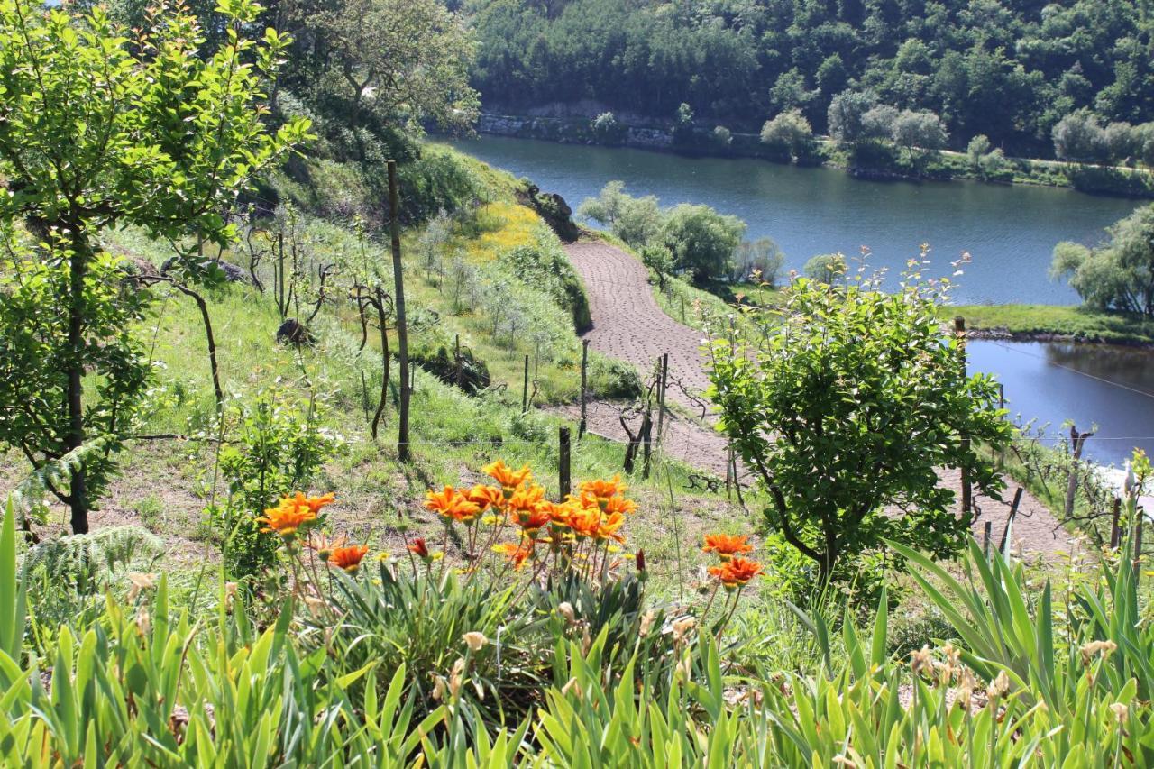 阿马兰特"Bouca Drigues" Casa Antiga De Pedra Com Piscina E Vista Rio别墅 外观 照片