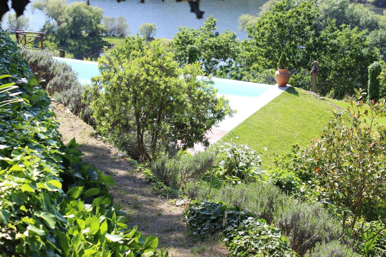阿马兰特"Bouca Drigues" Casa Antiga De Pedra Com Piscina E Vista Rio别墅 外观 照片
