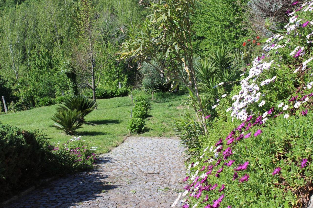 阿马兰特"Bouca Drigues" Casa Antiga De Pedra Com Piscina E Vista Rio别墅 外观 照片