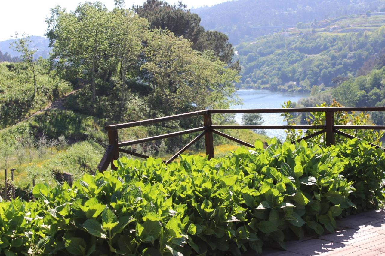 阿马兰特"Bouca Drigues" Casa Antiga De Pedra Com Piscina E Vista Rio别墅 外观 照片