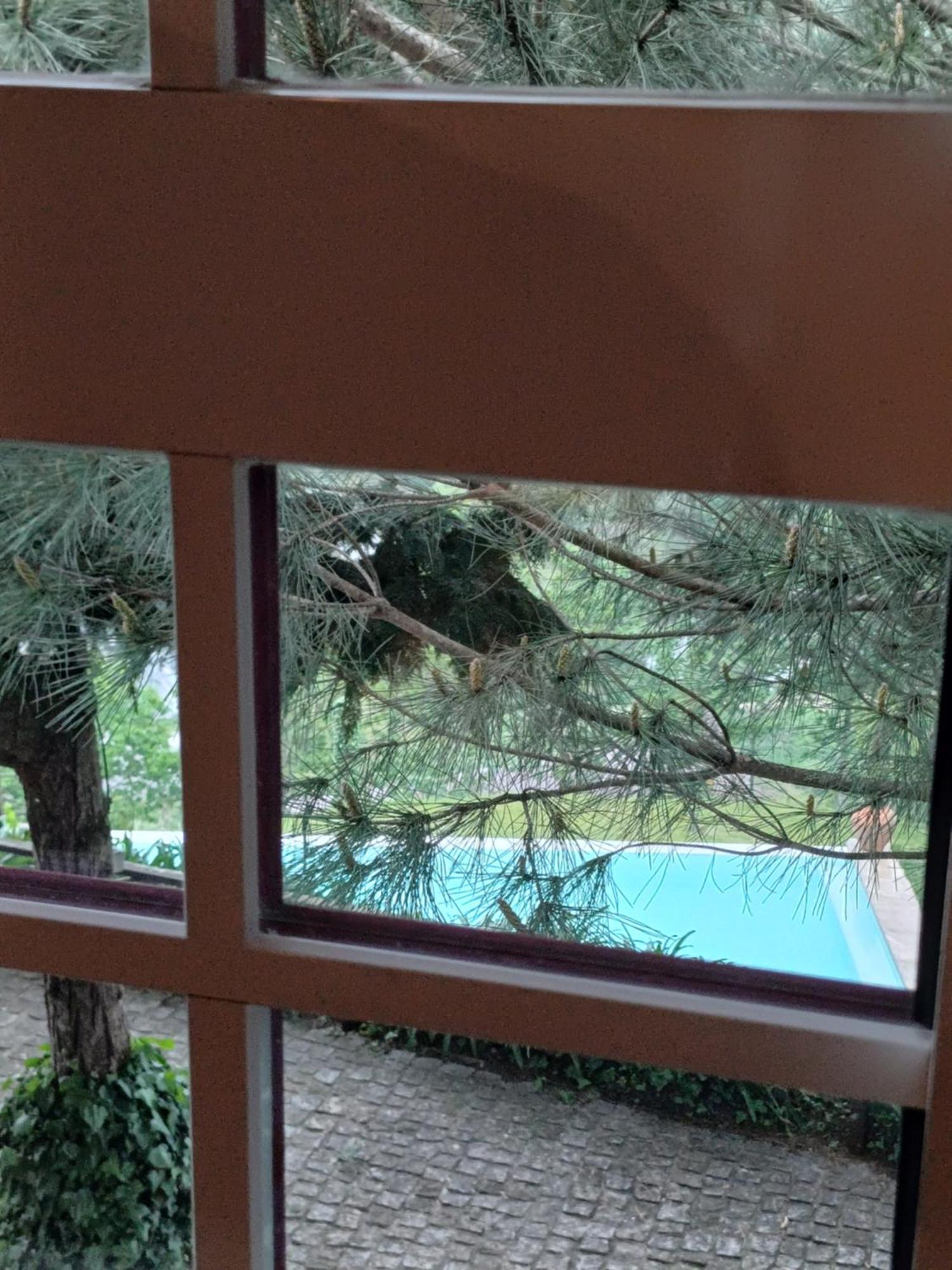 阿马兰特"Bouca Drigues" Casa Antiga De Pedra Com Piscina E Vista Rio别墅 外观 照片