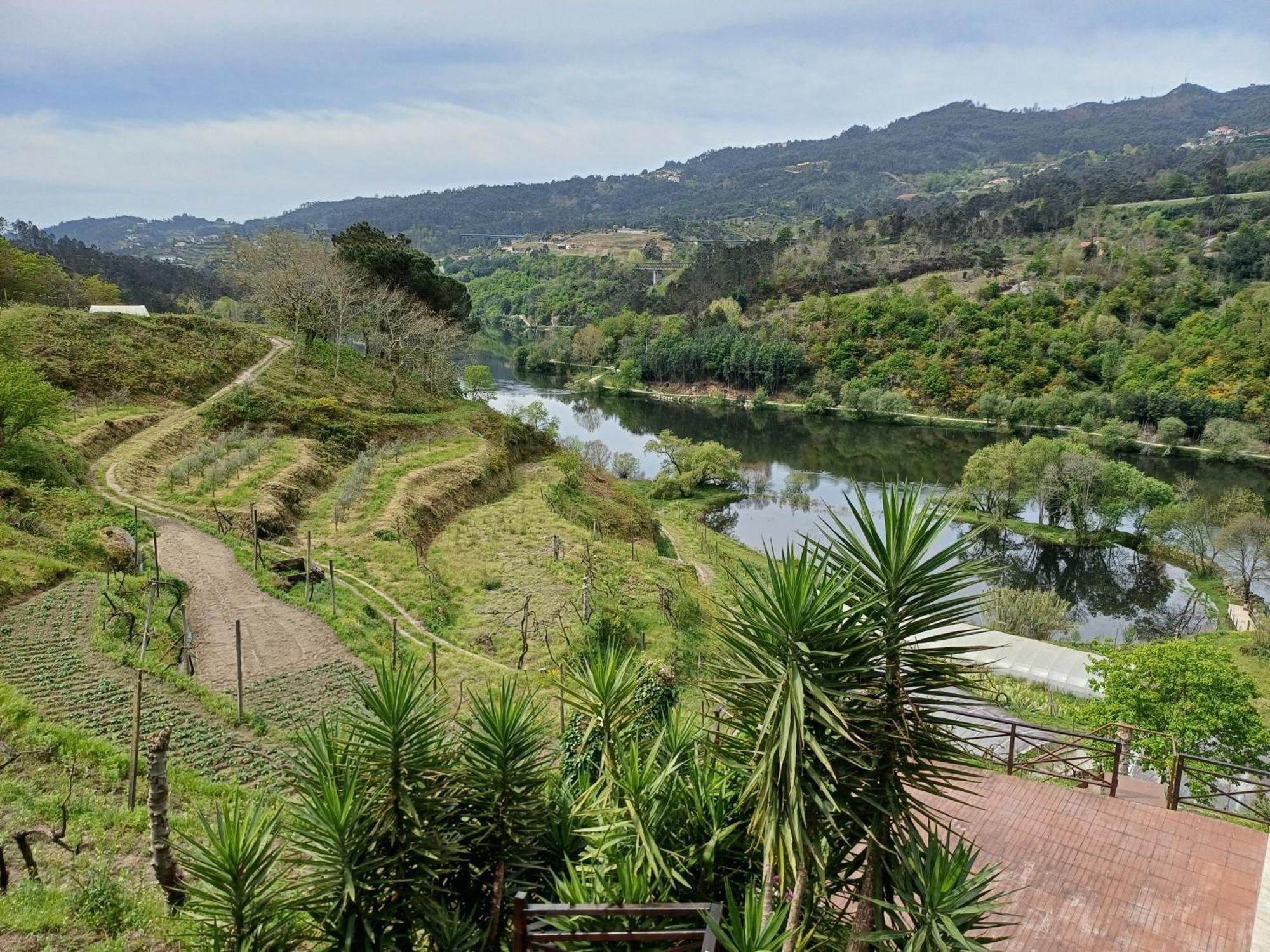 阿马兰特"Bouca Drigues" Casa Antiga De Pedra Com Piscina E Vista Rio别墅 外观 照片