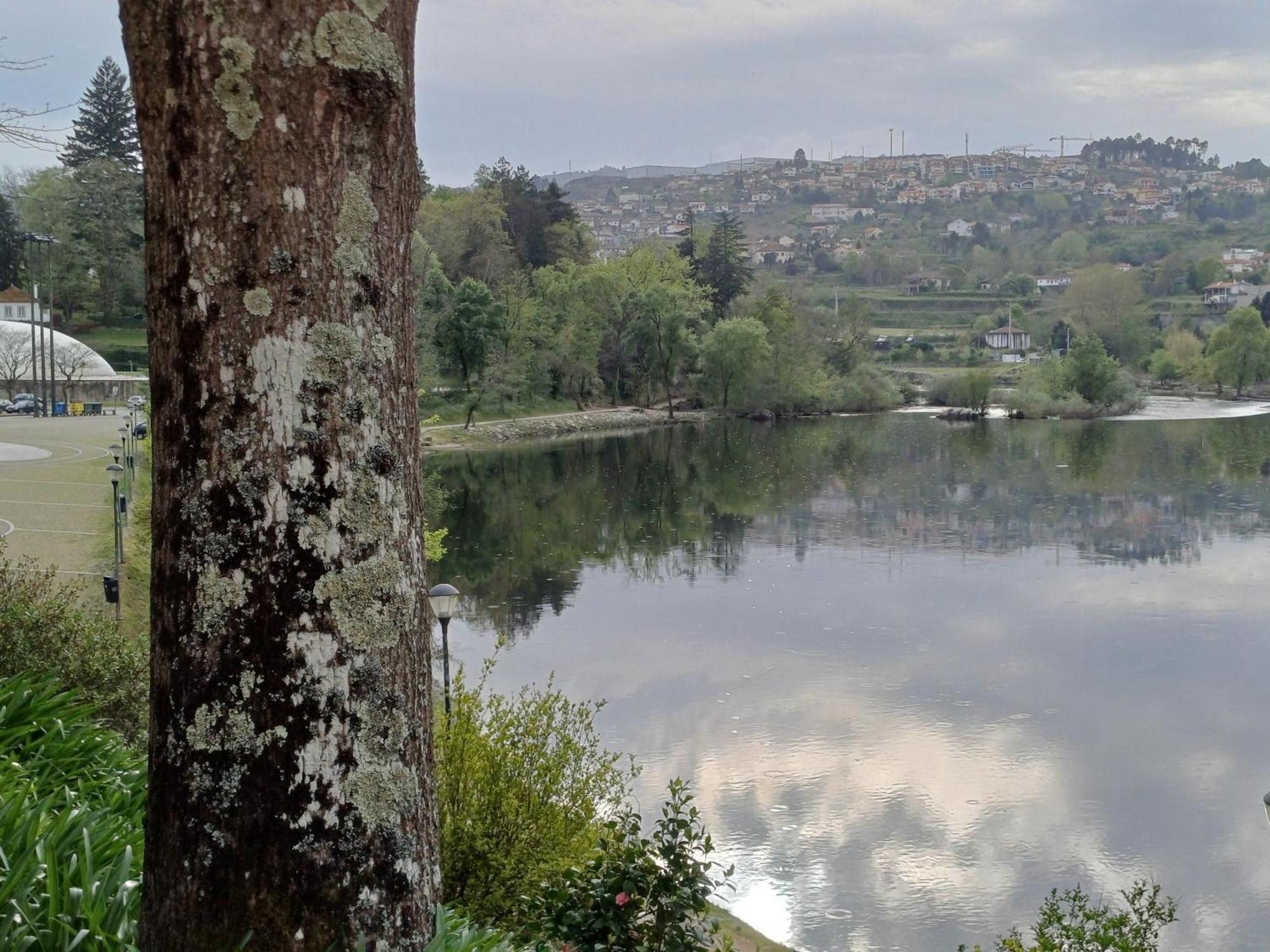 阿马兰特"Bouca Drigues" Casa Antiga De Pedra Com Piscina E Vista Rio别墅 外观 照片