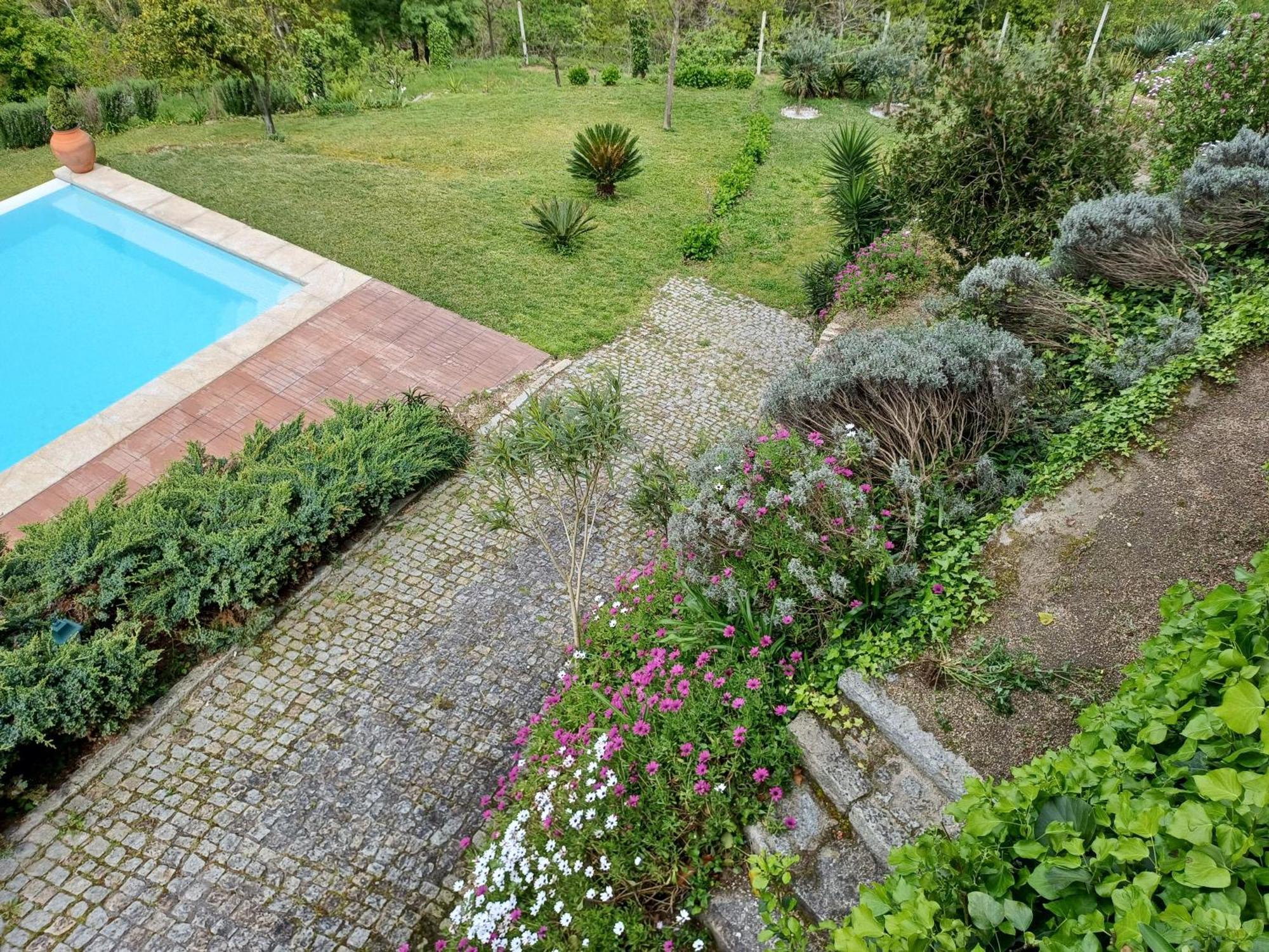 阿马兰特"Bouca Drigues" Casa Antiga De Pedra Com Piscina E Vista Rio别墅 外观 照片